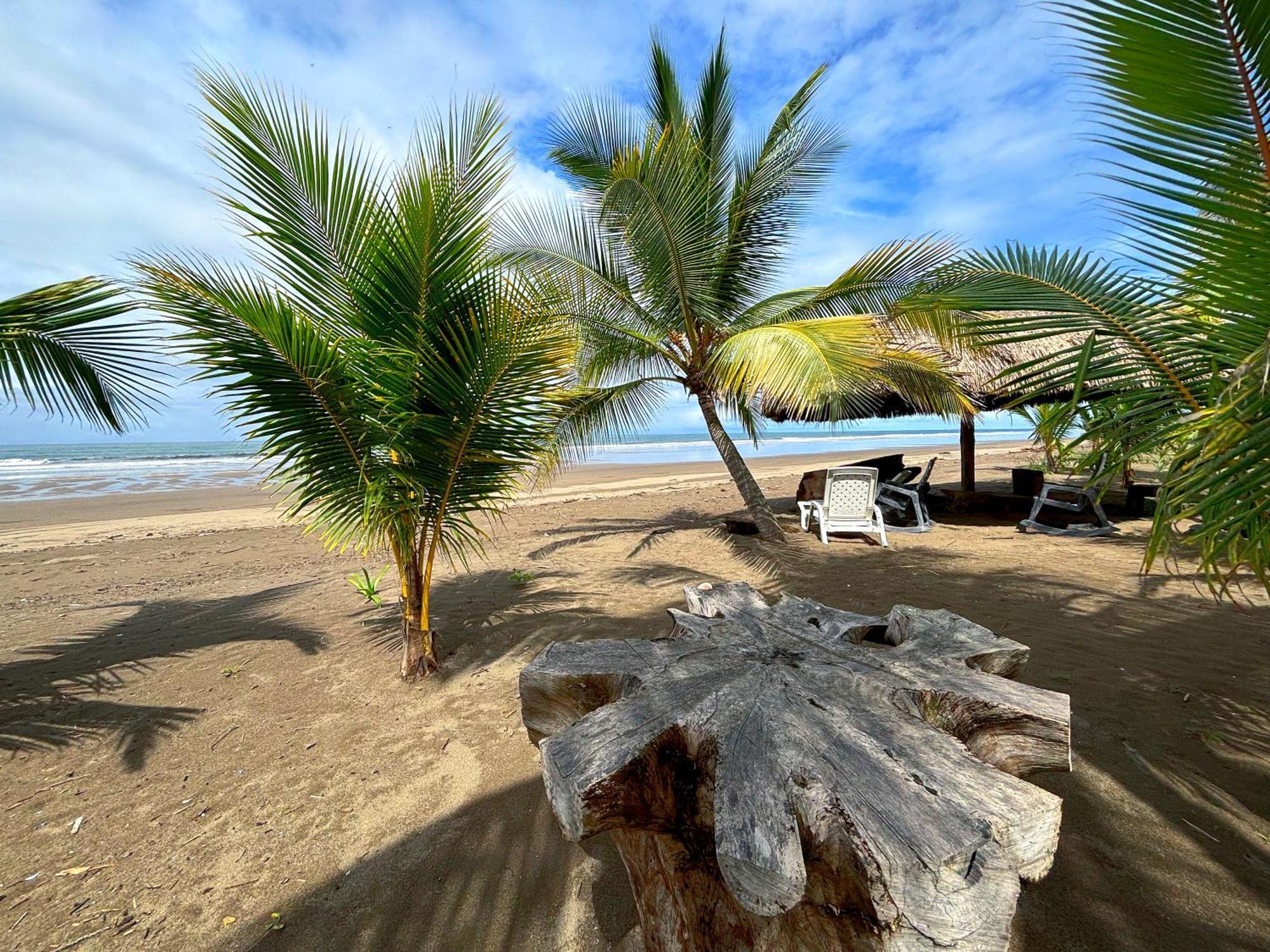 Royal Palm Retreat Daire Cabrera Dış mekan fotoğraf