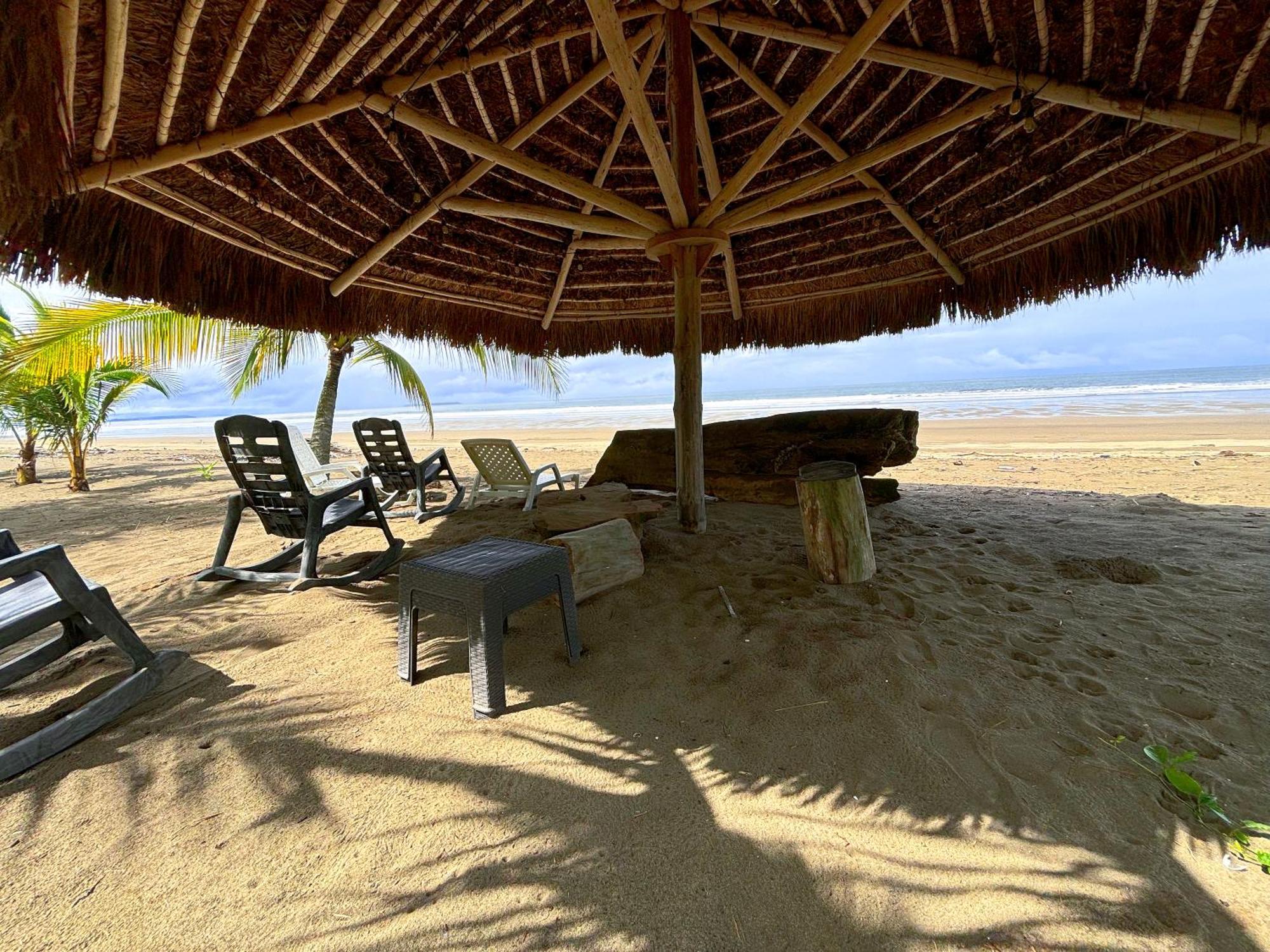 Royal Palm Retreat Daire Cabrera Dış mekan fotoğraf