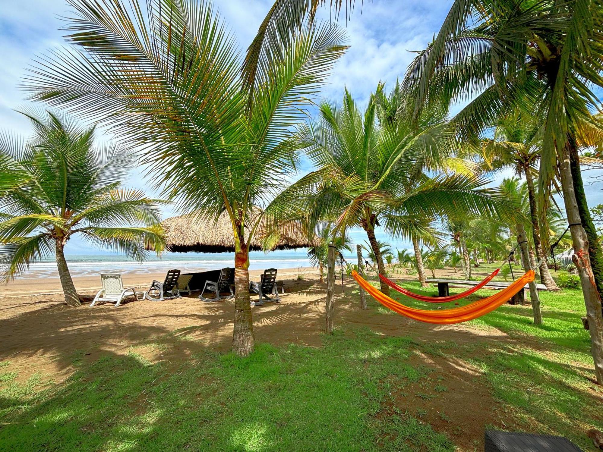 Royal Palm Retreat Daire Cabrera Dış mekan fotoğraf